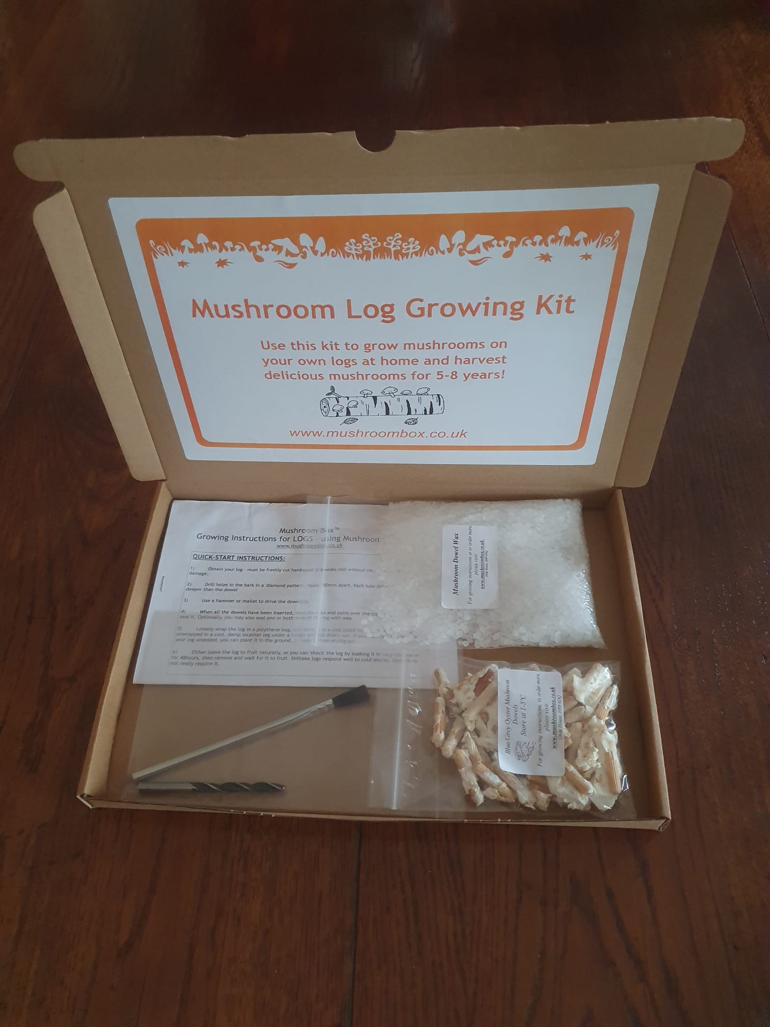 LOG GROWING KIT - Blue-Grey Oyster